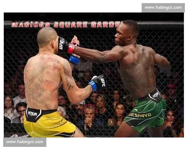 阿迪萨亚挑战佩雷拉再度上演巅峰对决谁能在激烈角逐中胜出